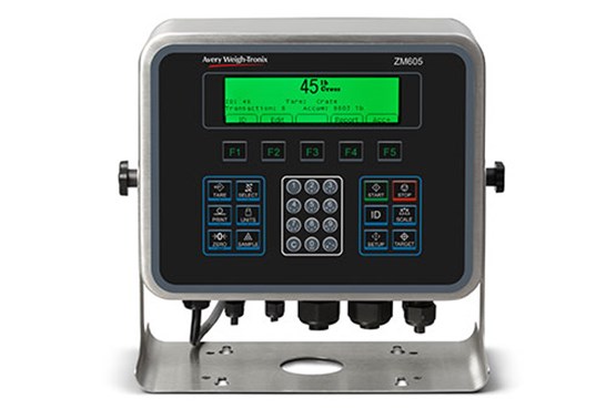 ZM605